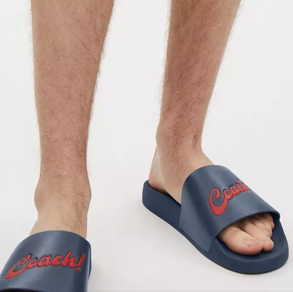 Coach slides - Picture 2 of 4